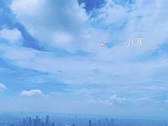 -大金鹰园