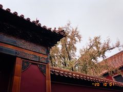 -故宫博物院(故宫)