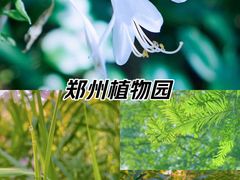 -郑州植物园