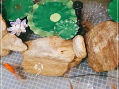 -渔满仓海鲜渔家(象山二店)