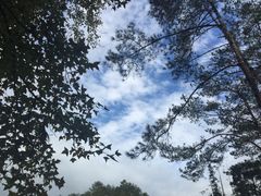 -广州市流溪河国家森林公园