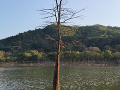 -凤岗南门山森林公园