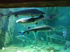 -华夏文旅西安度假区