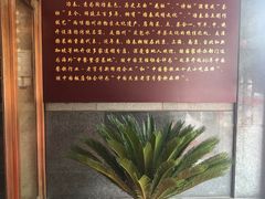 -冶春茶社(官园桥店)