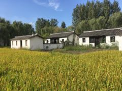 -溱湖国家湿地公园