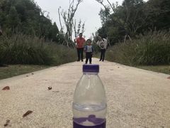 -昆山城市生态森林公园