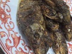 -8号蒸饺精品炖鸽子(康特商街店)