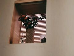 -养心阁足道馆(火宫殿一店)