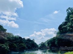 -青城山