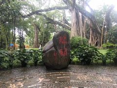 -瑞丽独树成林风景区