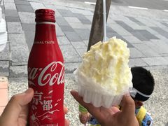 -岚山猴子公园