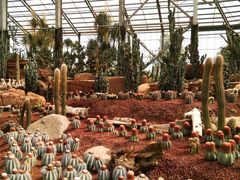 -南通洲际绿博园