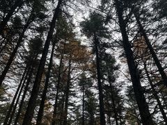 -芦芽山旅游度假区