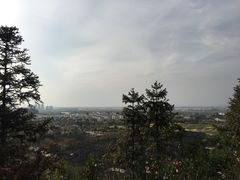 -伯先公园