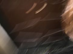 -MOJO密室逃脱(中街旗舰店)