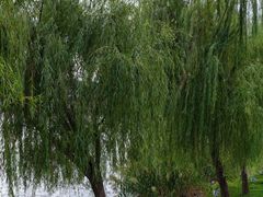 -东钱湖旅游度假区