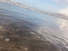-台山黑沙湾海浴场