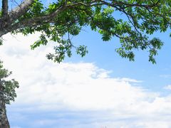 -抚仙湖禄充风景区