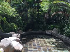 -三亚珠江南田温泉度假区