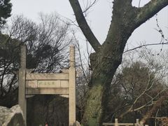 -苏州上方山国家森林公园