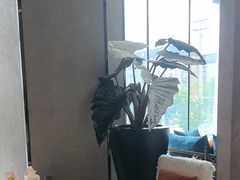 -上岛咖啡(大德店)