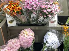 -鹿岛会员店(熙地港店)