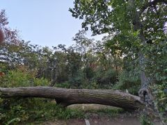 -长春市南湖公园