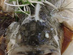 -椿记烧鹅(建干路店)