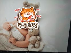 -玛瑞莎孕婴童摄影到家拍
