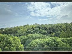 -上海佘山世茂艾美酒店