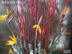 DSC09474-甲21号招待所