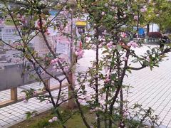 iphone_upload_pic-江西科技学院