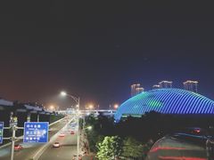 -嘉庚体育馆