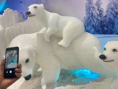 -宁波冰雪大世界(北仑区)