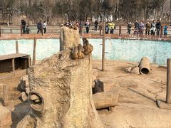 -沈阳森林动物园