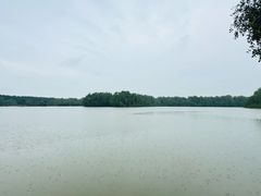 -大湾区中央湿地公园