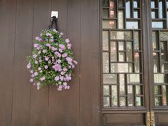 -东台西溪天仙缘景区