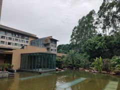 -南宁荔园维景国际酒店·荔园中餐厅