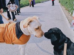 -中国天府农业博览园