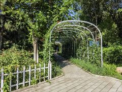 -云岗森林公园