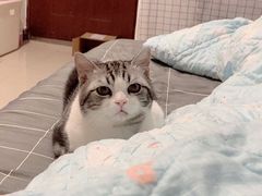 -联合动物医院(光谷诊疗中心)