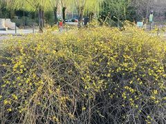 -元大都城垣遗址公园