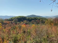 -塔川景区