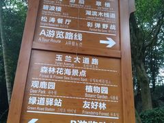 -广州市流溪河国家森林公园