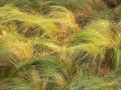 -中国天府农业博览园