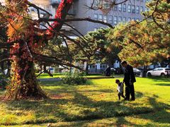 -中央民族大学