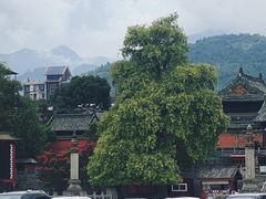 -报恩寺(平武县)