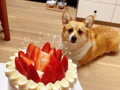 -DEMO黛慕蛋糕(中泰店)