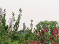-北坞公园