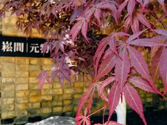 -苏州本色美术馆
